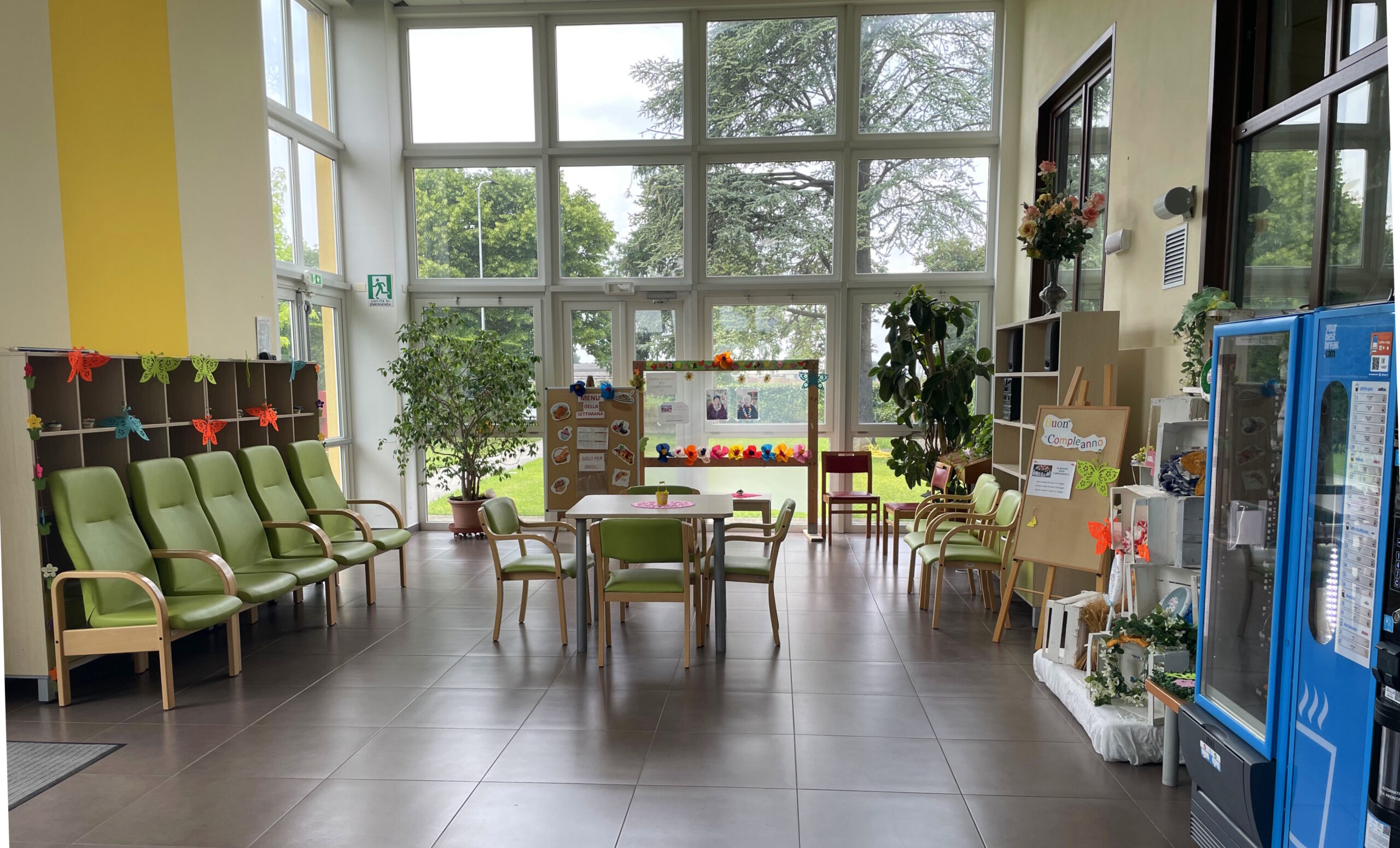 Sala accogliente e colorata con sedie verdi, piante, decorazioni e luce naturale dalle grandi finestre